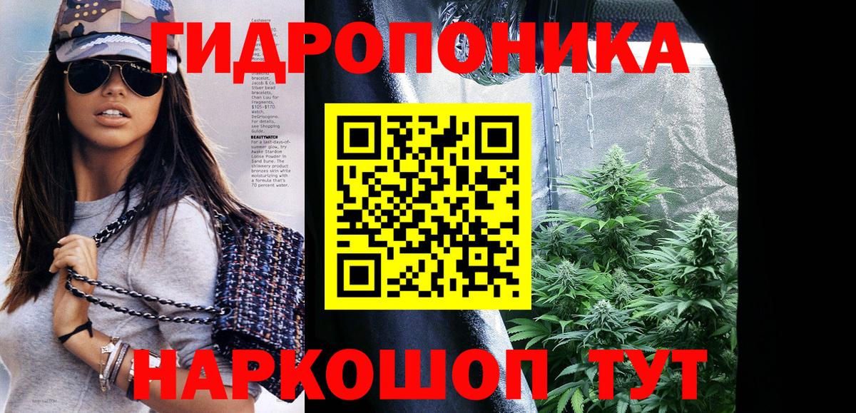 Каннабис OG Kush Тамбов